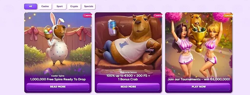 Spinbara code promo